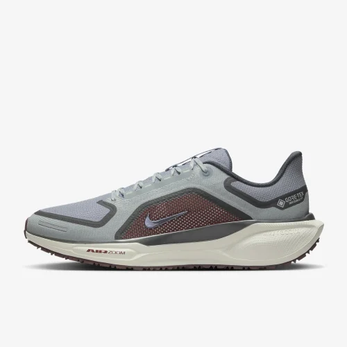 Nike Pegasus 41 GORE-TEX