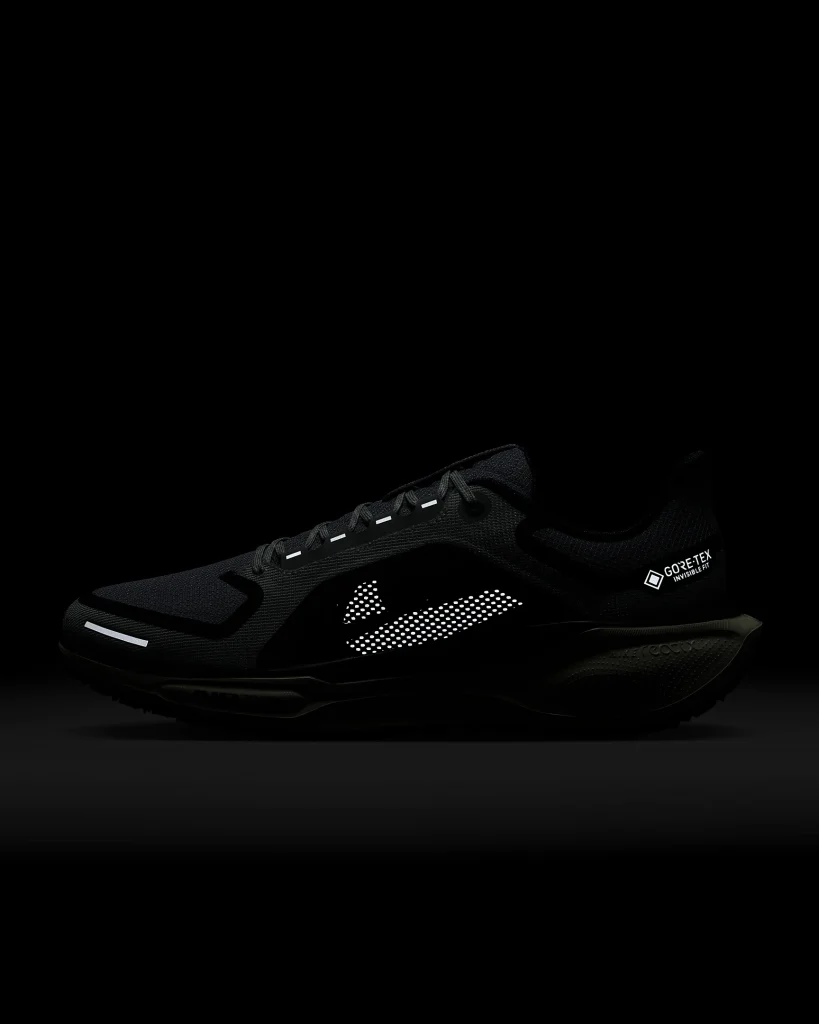 Nike Pegasus 41 GORE-TEX