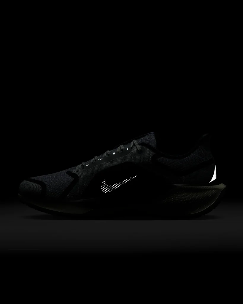 Nike Pegasus 41 GORE-TEX