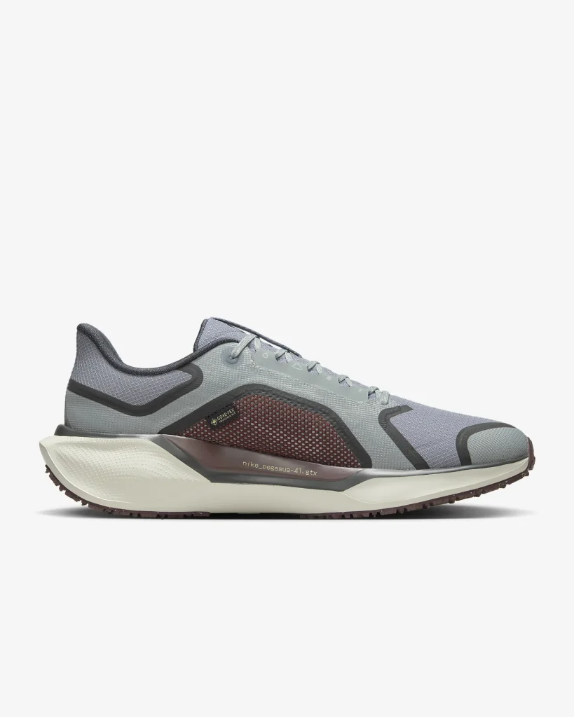 Nike Pegasus 41 GORE-TEX